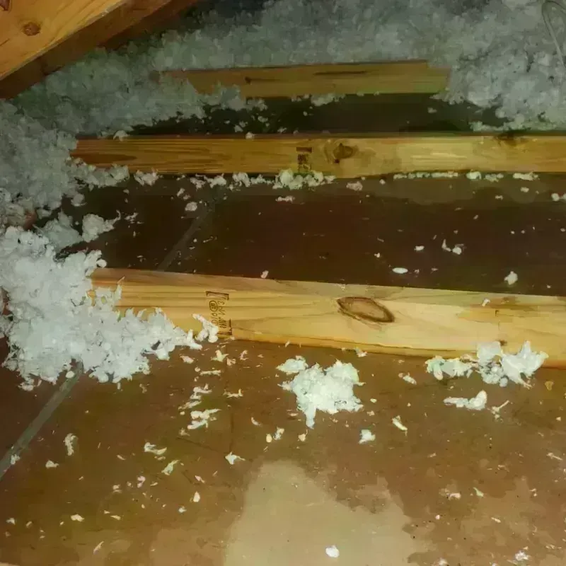 Attic Water Damage in Lake Waccamaw, NC